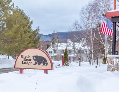 23 Black Bear Way unit 203, Waterville Valley, NH 03215 - photo 2