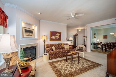 11150 Chambers Ct unit F, Woodstock, MD 21163 - photo 6
