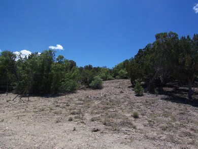 790 State Highway 165, Placitas, NM 87043 - photo 3