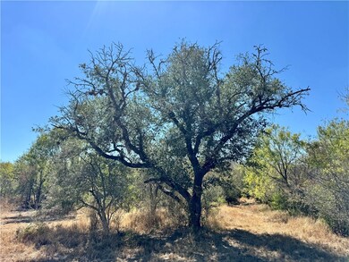 0 County Road 215, McCoy, TX 78113 - photo 7