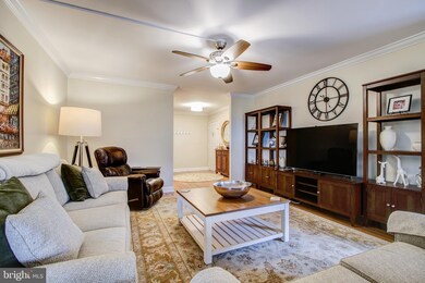 5901 Mount Eagle Dr unit 618, Alexandria, VA 22303 - photo 4