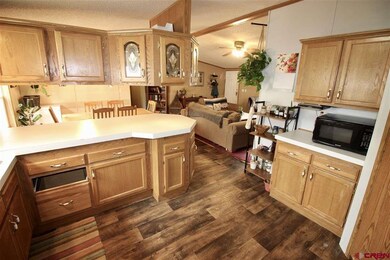 11 Ponderosa Ln unit Lot 5, Gunnison, CO 81230 - photo 6