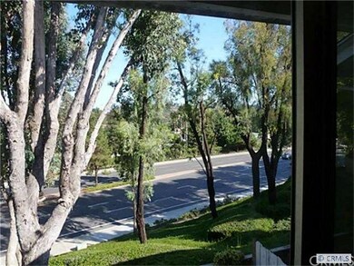 View from Patio.  Gorgeous treetops!!