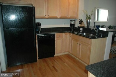 41943 Blue Flag Terrace unit 66, Stone Ridge, VA 20105 - photo 7