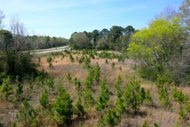 North Parcel