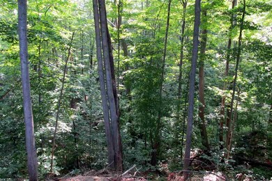 32 Pleasantview St, Montpelier, VT 05602 - photo 5