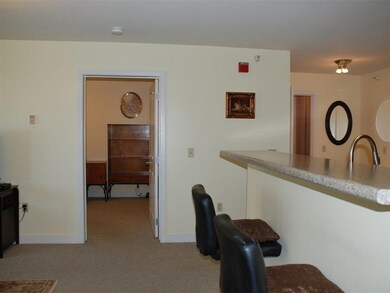 409 Farrell St unit 310, South Burlington, VT 05403 - photo 6