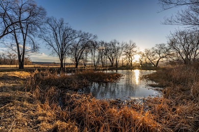 2164 45 1 2 Rd, de Beque, CO 81630 - photo 3