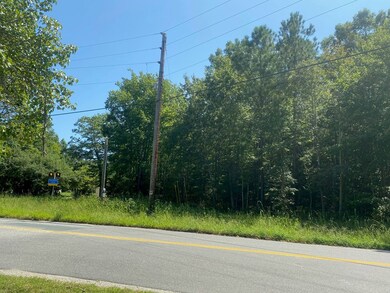 7.8 Lighthouse View Rd, Burgess, VA 22432 - photo 2