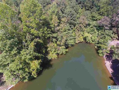 0 County Road 235 unit 14 830365, Wedowee, AL 36278 - photo 3