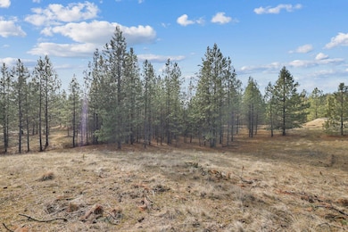 NKA Weaver Rd unit Lot 3 of Lot 11, Deer Park, WA 99006 - photo 4