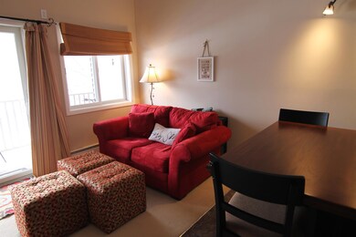 36 Lodge Rd unit A-309, Lincoln, NH 03251 - photo 5