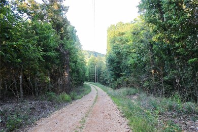 0 County Road 2205 unit 1136958, Eureka Springs, AR 72631 - photo 2