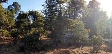 409 E Alpine Dr, Payson, AZ 85541 - photo 4