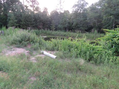 Small Pond