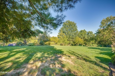 9 Dove Tree Ln, Jonesborough, TN 37659 - photo 5