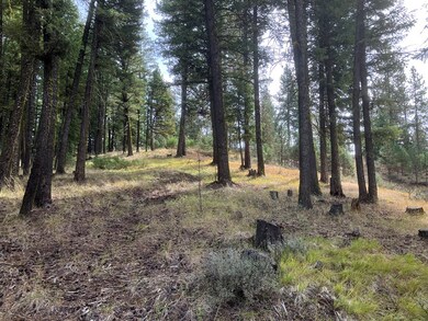 Old Jeep Trail To Upper Lot