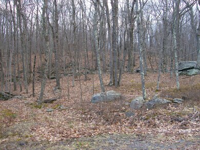 1222 Acacia Dr, Paupack Township, PA 18428 - photo 3