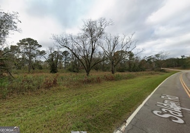 17 +/- AC Salem Rd, Pine Mountain, GA 31822 - photo 2