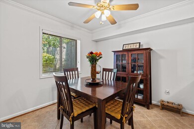 7332 Tavenner Ln unit 1A, Alexandria, VA 22306 - photo 6