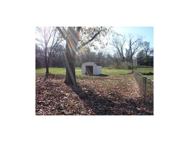 Storage Shed in back yard