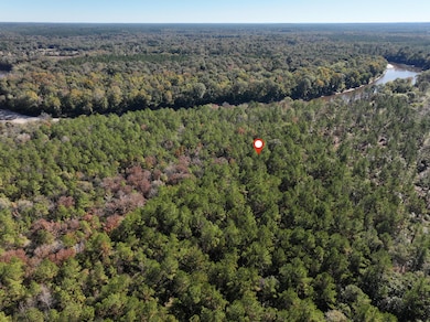 Old_Hwy_24_W_Lot_20-5