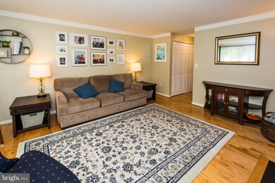 426 Blossom Tree Dr, Annapolis, MD 21409 - photo 5