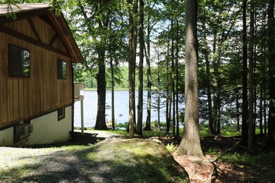 117 W Shore Dr, Hawley, PA 18428 - photo 5