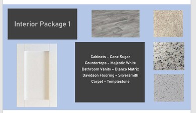 327 David Hill Dr, Buffalo Lake, NC 27330 - photo 2