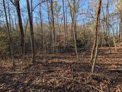 0 Ridgeway Rd unit 1524463, Trion, GA 30753 - photo 7