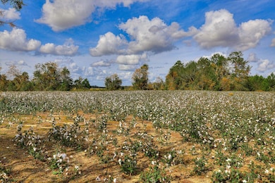 1300 Terry Dr, Wrens, GA 30833 - photo 6