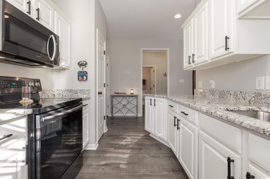 Kitchen featuring light stone countertops, recessed lighting, dark wood-style flooring, stainless steel range with electric cooktop, and white cabinetry