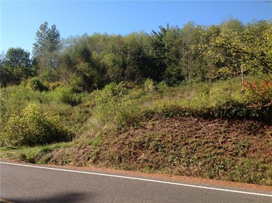 0 Logan Hill Rd unit 851426, Chehalis, WA 98532 - photo 4