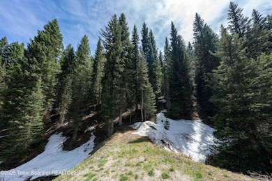 6600Paintbrush_JGPhoto-3