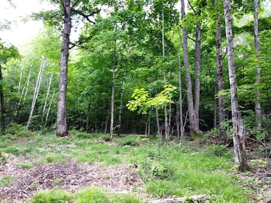 Tea Lake Rd, Crandon, WI 54520 - photo 5