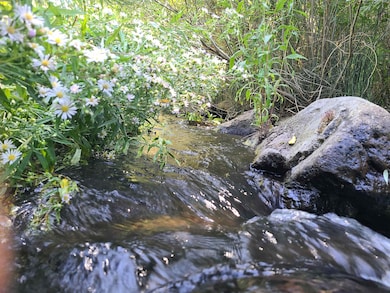 598 Longhorn Dr, Loyalton, CA 96118 - photo 5