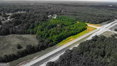 3128 High Falls Rd, Griffin, GA 30223 - photo 5