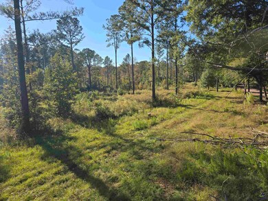 0 Ralph Wood Rd unit 246370, Dublin, GA 31021 - photo 4