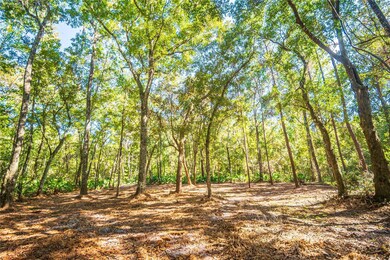 21490 NW 106th Court Rd, Micanopy, FL 32667 - photo 7