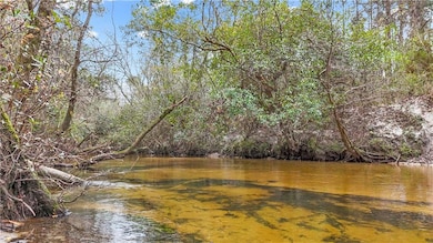 0 Newman Rd unit 7670125, Mobile, AL 36695 - photo 6