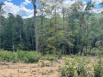 221 Shell Creek Rd, Roan Mountain, TN 37687 - photo 6