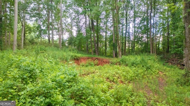 185 Grand Jct, Sharpsburg, GA 30277 - photo 4