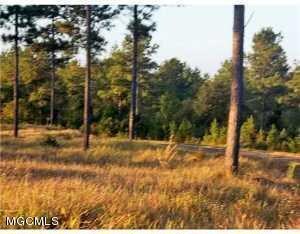 Tbv Hafner Rd, Lucedale, MS 39452 - photo 3