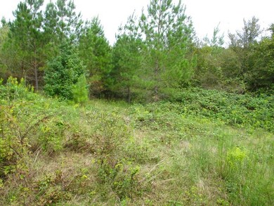 TBD County Road 103, Lafayette Springs, MS 38655 - photo 7