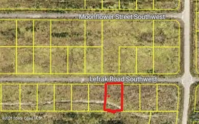 2846 Lefrak Rd SW, Palm Bay, FL 32908 - photo 5