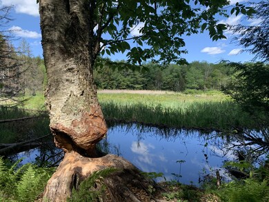16 Acres, Watson Rd, Washington MA