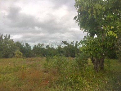 Yard 3