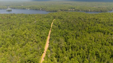 DJI_20240619111120_0258_D