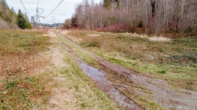 39950 295th Place SE, Enumclaw, WA 98022 - photo 2