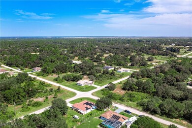 Drone / aerial view of a heavily wooded area